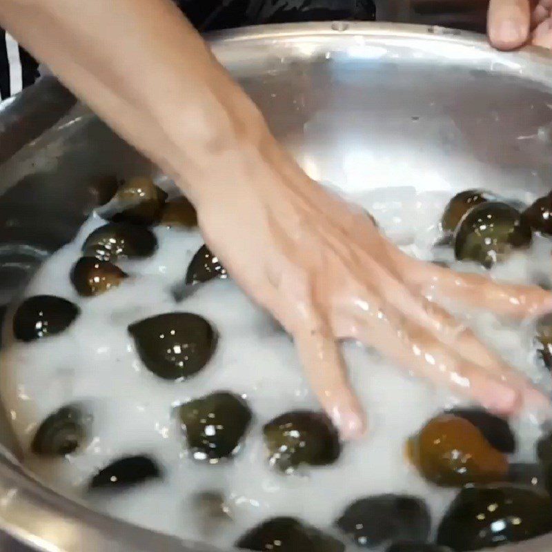 Step 1 Prepare the snails and ingredients for sour and spicy snail hot pot