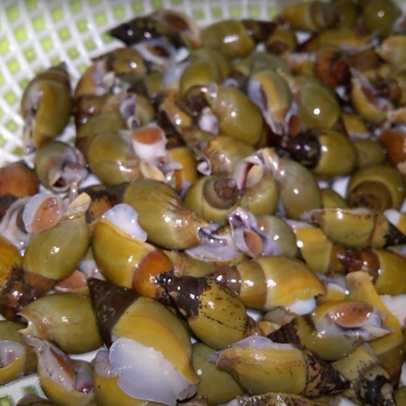 Step 1 Prepare the snails Fried snails with tamarind