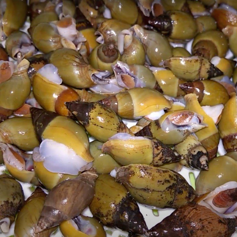 Step 1 Prepare the snails Fried snails with tamarind