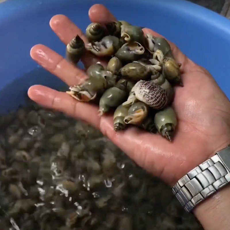 Step 1 Prepare the sea snails Stir-fried sea snails with satay