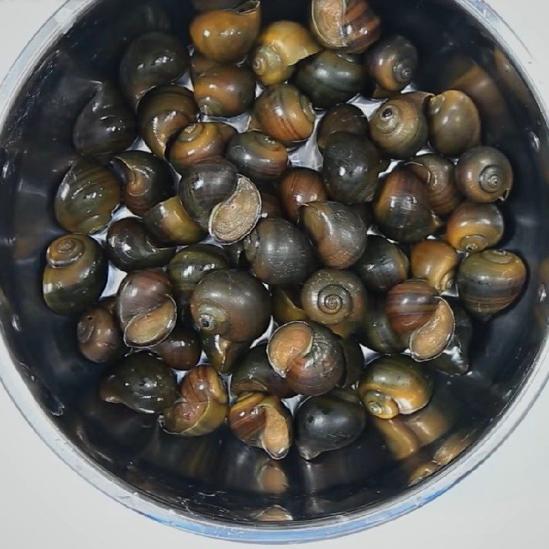 Step 1 Prepare snails and other ingredients Spicy steamed sea snails