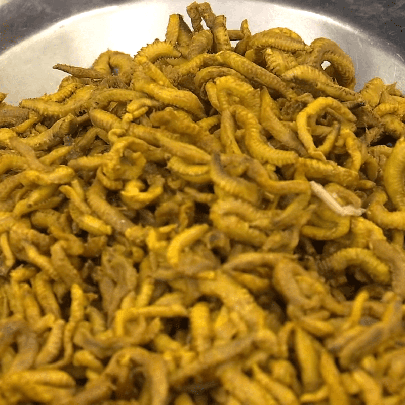 Step 1 Clean and blanch Rươi Salted Rươi