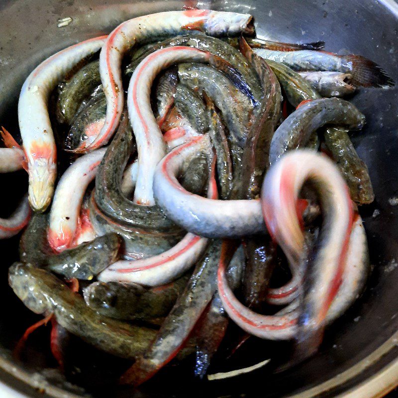 Step 1 Prepare and marinate fish Fried snakehead fish with tamarind sauce
