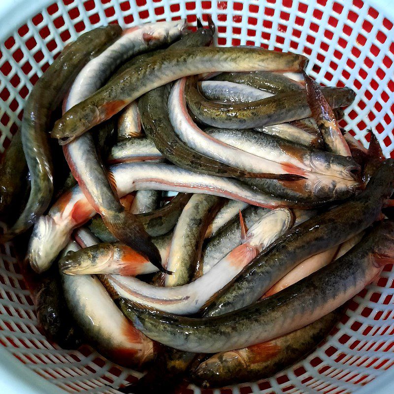 Step 1 Prepare and marinate fish Fried snakehead fish with tamarind sauce