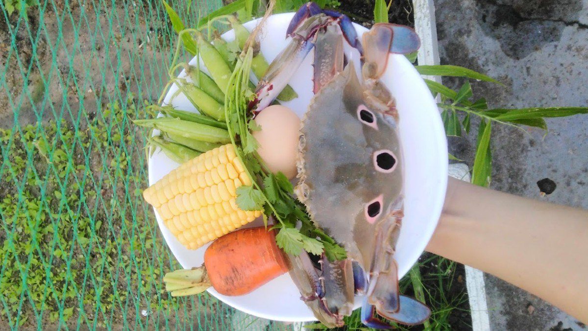 Ingredients for crab soup