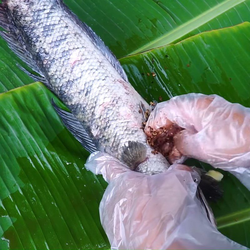 Step 2 Marinate snakehead fish Snakehead fish grilled with salt snow