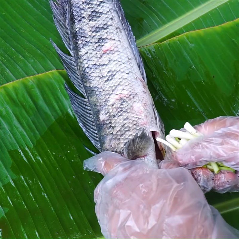 Step 2 Marinate snakehead fish Snakehead fish grilled with salt snow