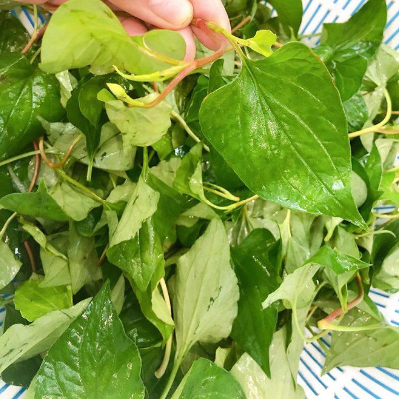 Step 1 Prepare the ingredients for Fish Mint and Bitter Melon Juice
