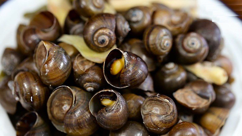Steamed giant snail with galangal and lemongrass