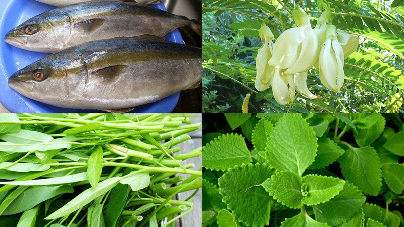 Ingredients for the dish 2 ways to make sour fish soup with drumstick flowers