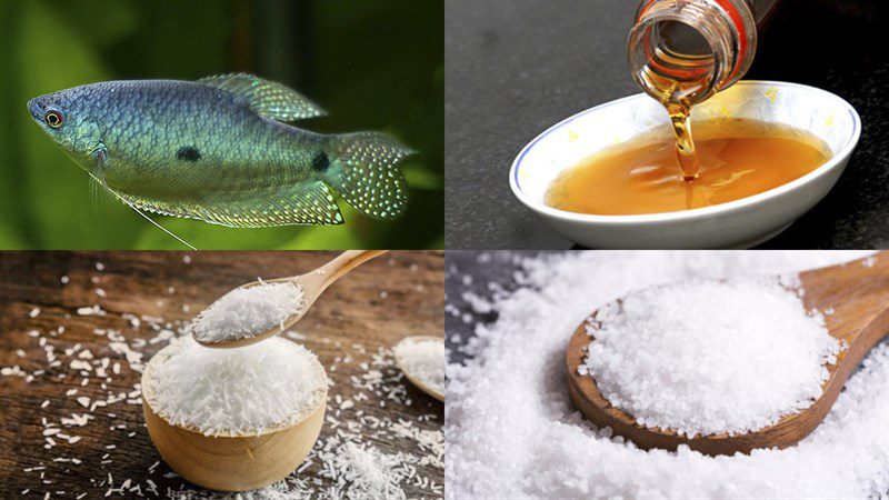 Ingredients for dried butterfly fish dish