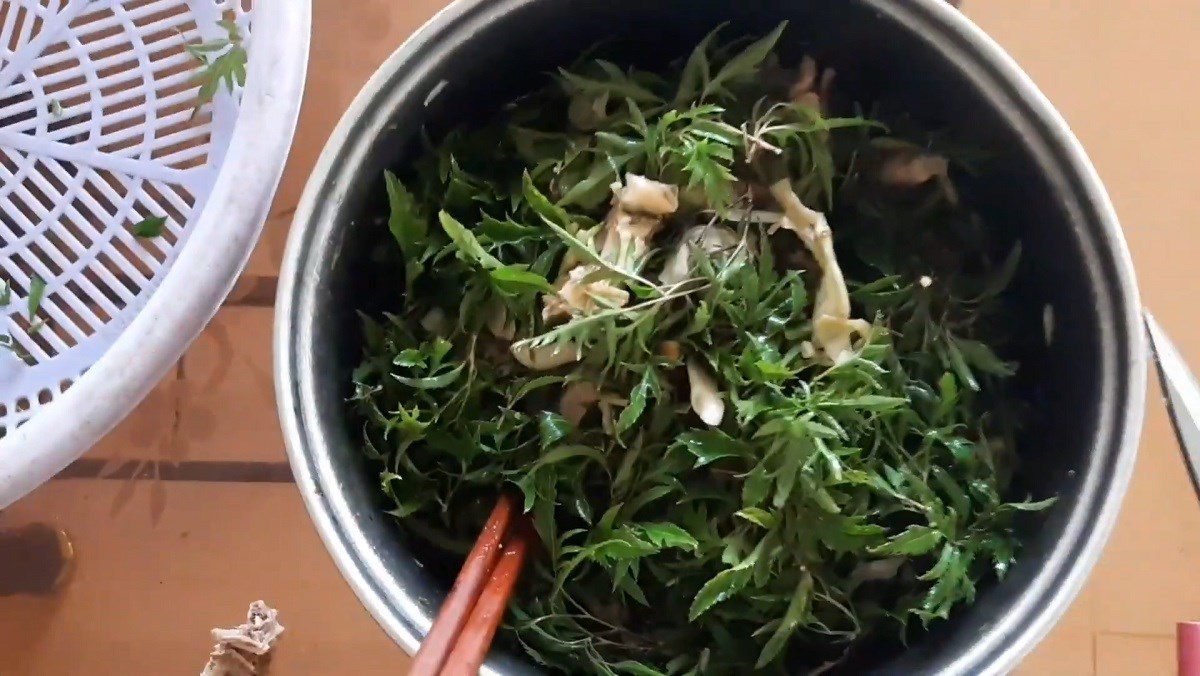 2 unique and delicious ways to make gỏi đinh lăng for the family 2 Wild Ginseng Salad with Chicken