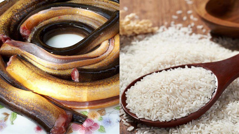 Ingredients for eel porridge dish