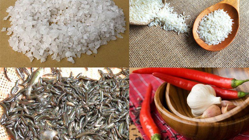 Ingredients for fish sauce made from rice field fish