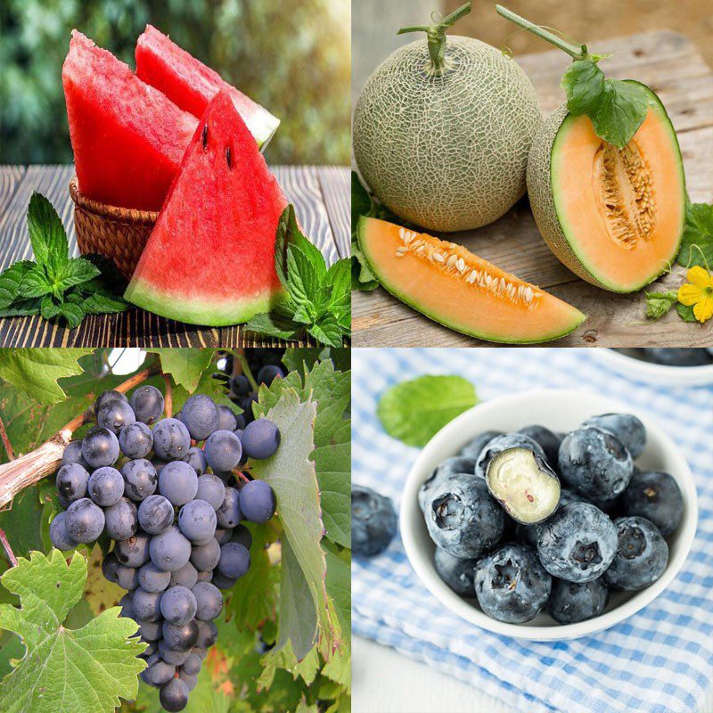 Ingredients for fruit watermelon salad
