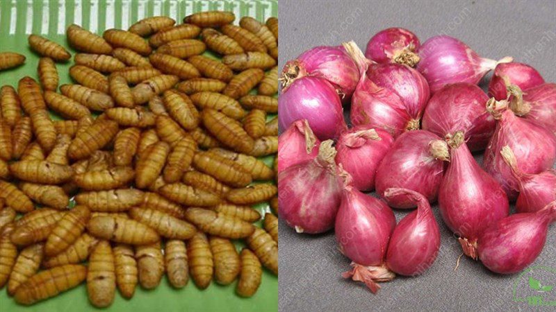 Ingredients for 5 ways to stir-fry silkworms