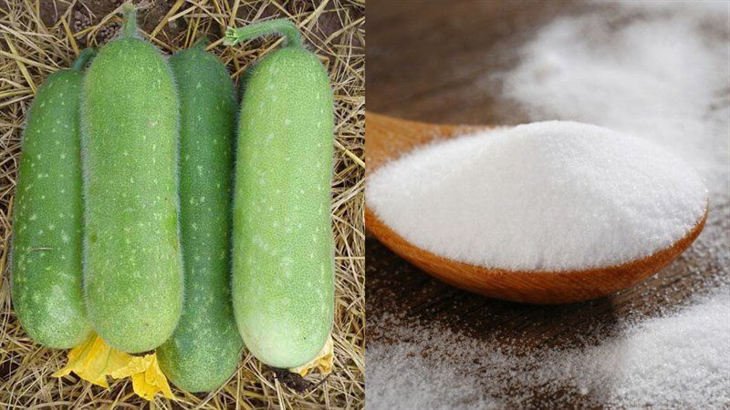 Ingredients for winter melon smoothie (green pumpkin)