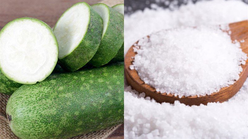 Ingredients for winter melon juice with a blender