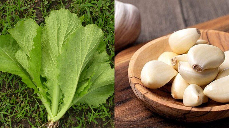 Ingredients for stir-fried mustard greens with garlic