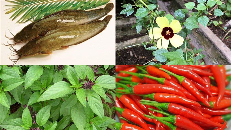 Ingredients for sour leaf catfish soup dish