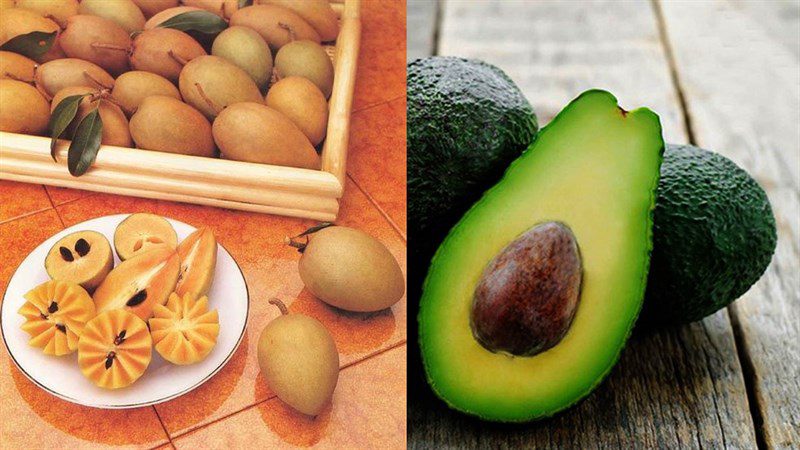 Ingredients for 5 ways to make sapoche smoothie