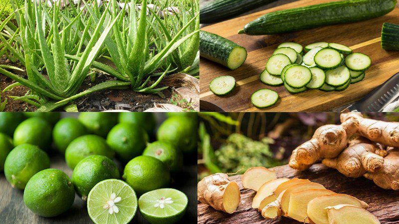 Ingredients for Aloe Vera Juice
