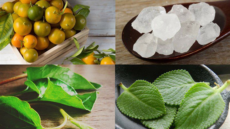 Ingredients for calamondin syrup with Vietnamese coriander and rock sugar