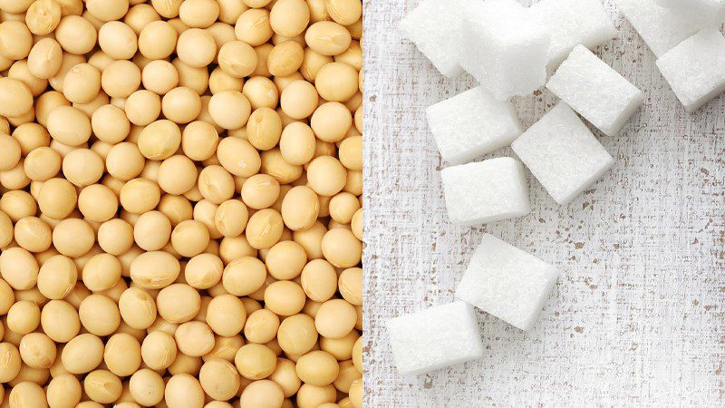 Ingredients for soybean pudding