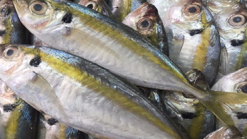 Ingredients for sun-dried golden threadfin bream