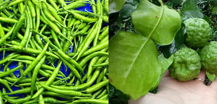 Ingredients for green curry rice, Thai green curry shrimp