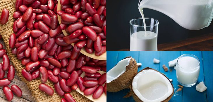 Ingredients for red bean coconut milk ice cream