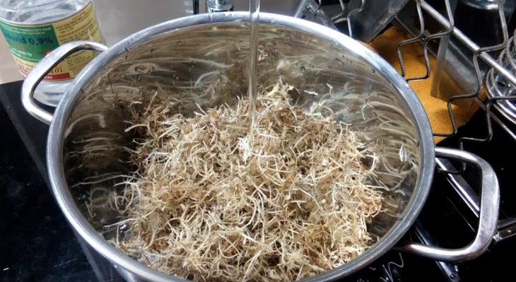 Step 2 Boil seaweed Jelly made from seaweed