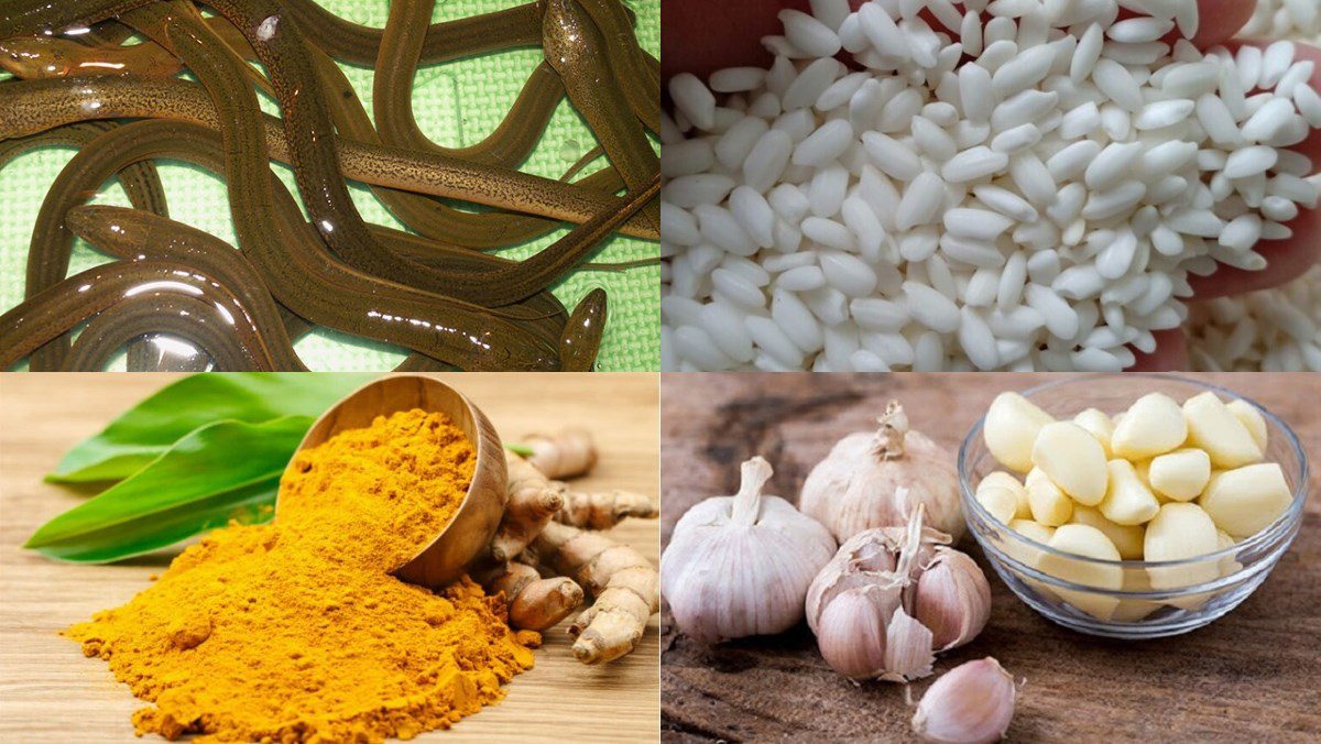 Ingredients for eel porridge