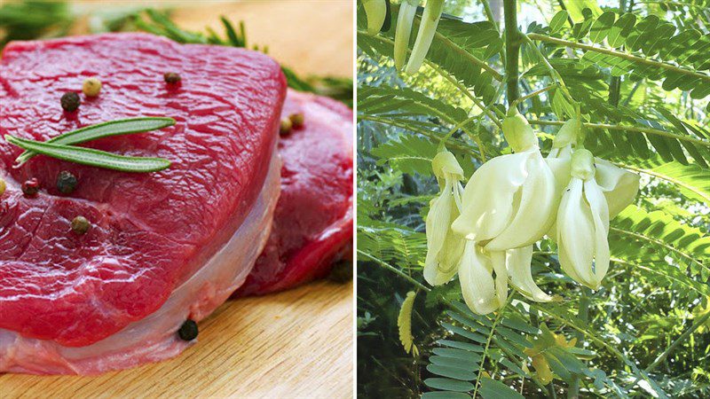 Ingredients for stir-fried beef with asparagus and stir-fried beef with mustard greens