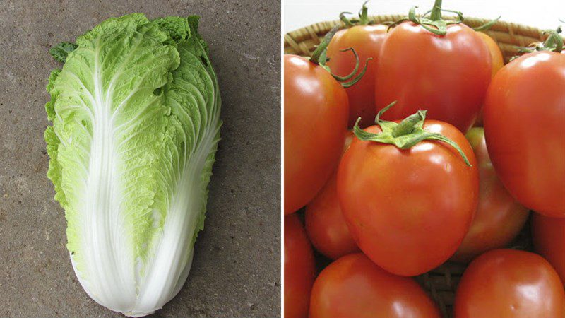 Ingredients for a delicious stir-fried dish with tomatoes