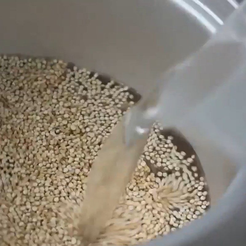 Step 1 Measure quinoa seeds and water Quinoa (quinoa) cooked in a rice cooker
