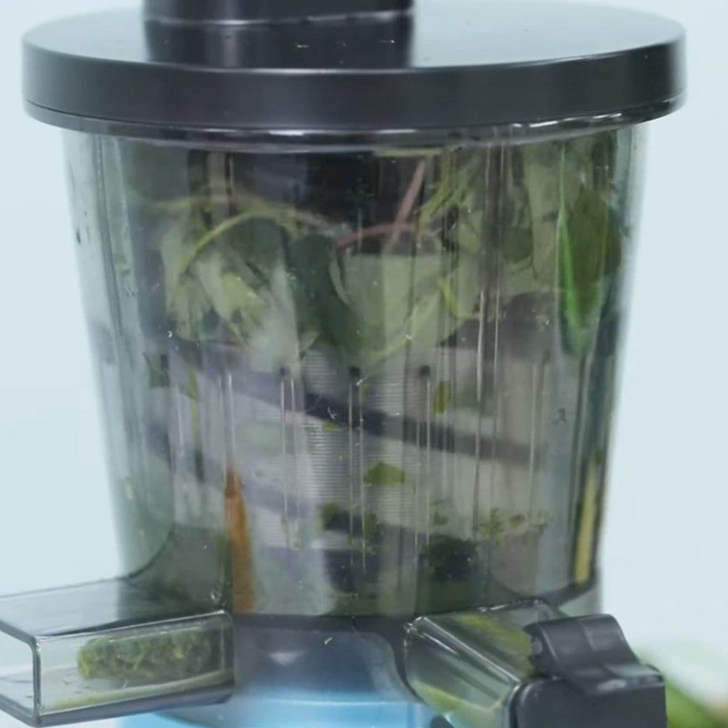 Step 2 Juicing Fish Mint and Bitter Melon Juice