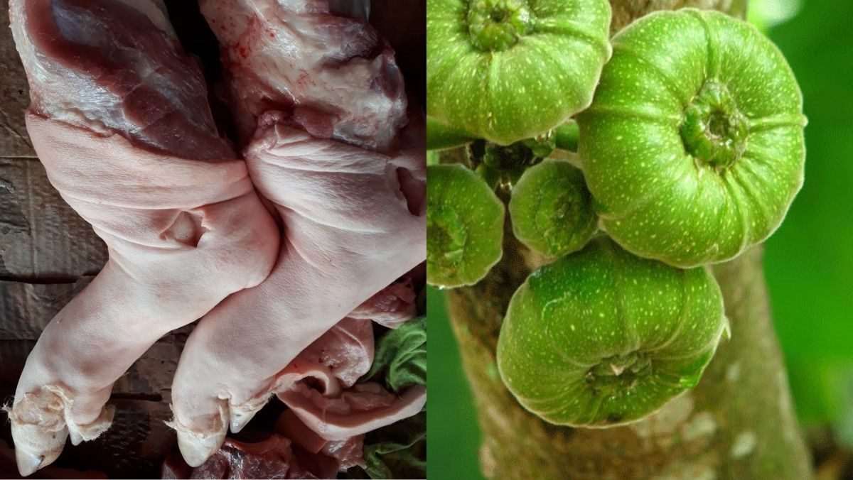 Ingredients for braised pork leg with figs