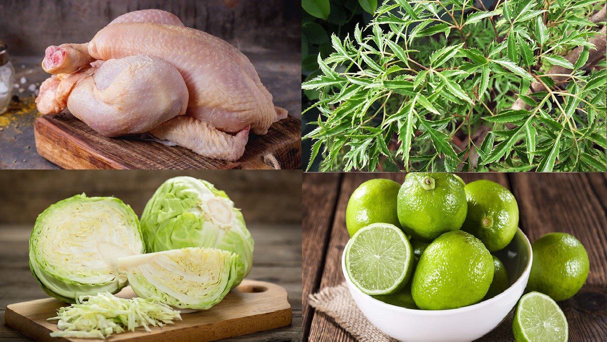 Ingredients for the dish of chicken salad