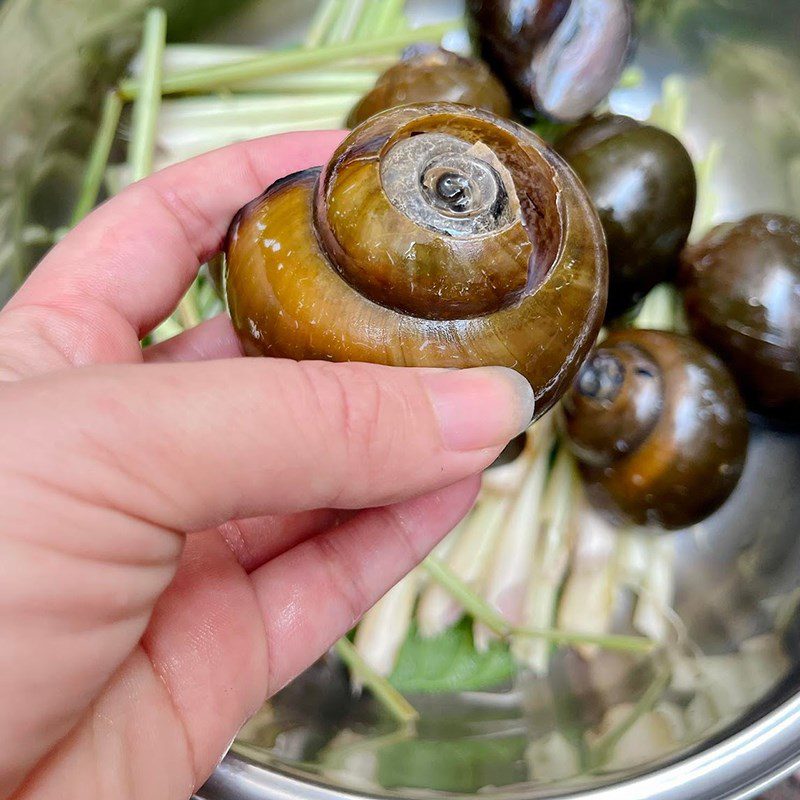 Step 2 Steaming and Chopping Snails Snail Cake Steamed with Mushrooms