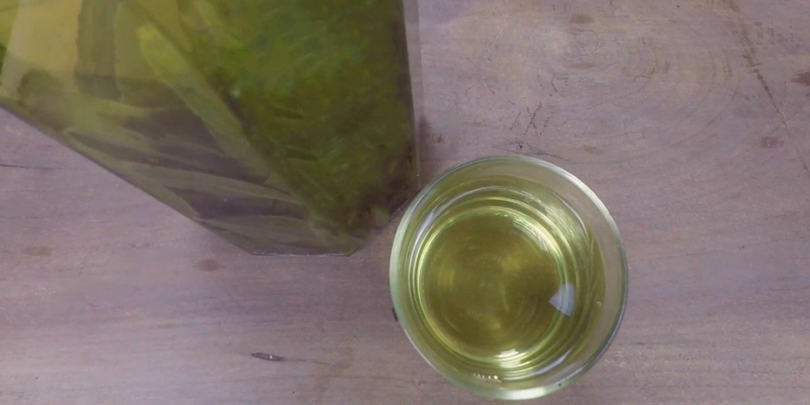 how to cook delicious green tea drink to cool down in summer good for health 08836
