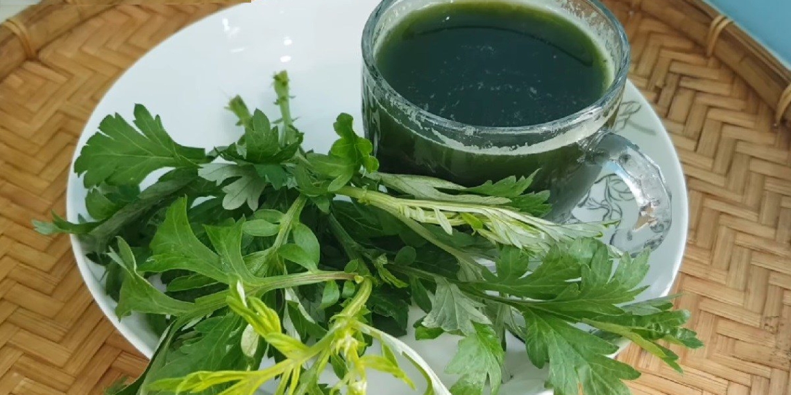 how to make bitter melon juice good for health 14349
