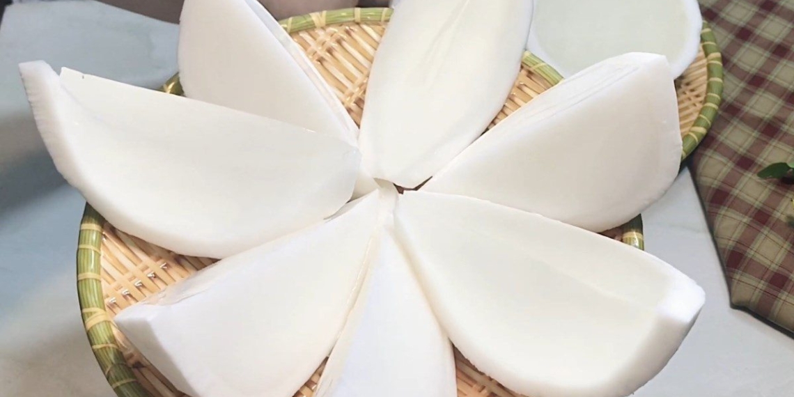 how to make coconut jelly delicious fresh cool 13850