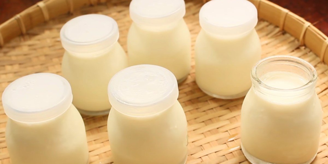 how to make delicious cheese yogurt 00935