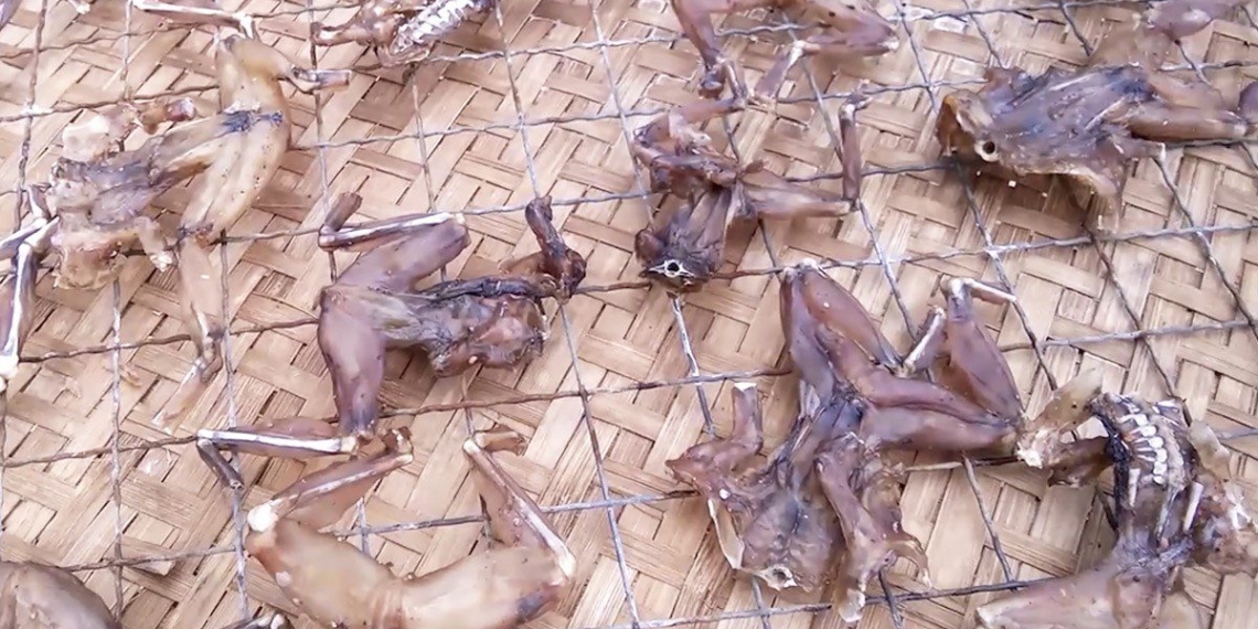 how to make delicious easy frog dishes 13454