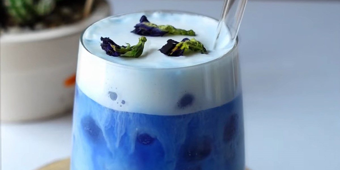 how to make flower pea milk tea hot hit super beautiful 11460