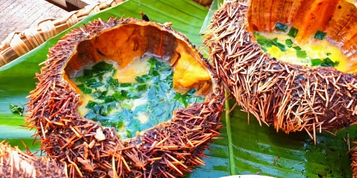how to make grilled sea urchin girls with aromatic onion delicious fat day 08501