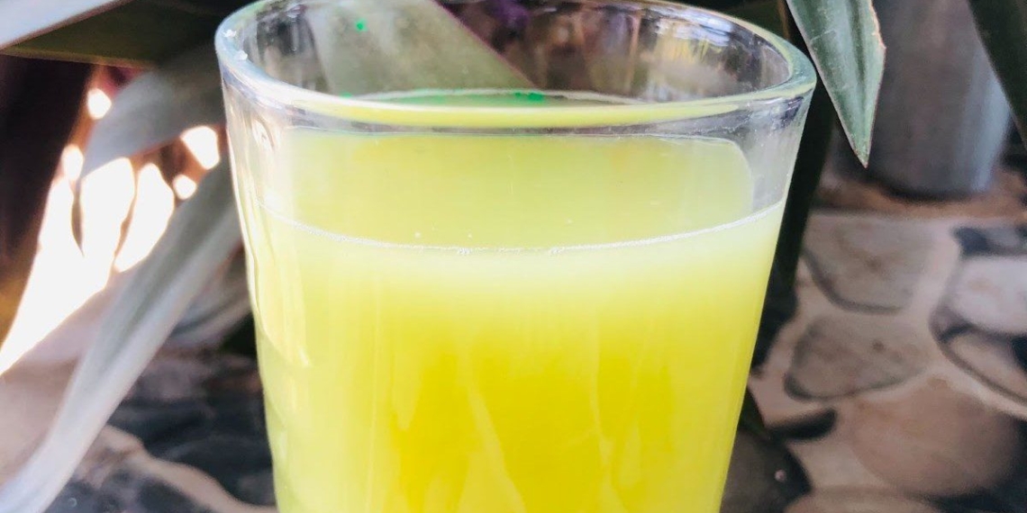 how to make pumpkin juice with a blender 16595