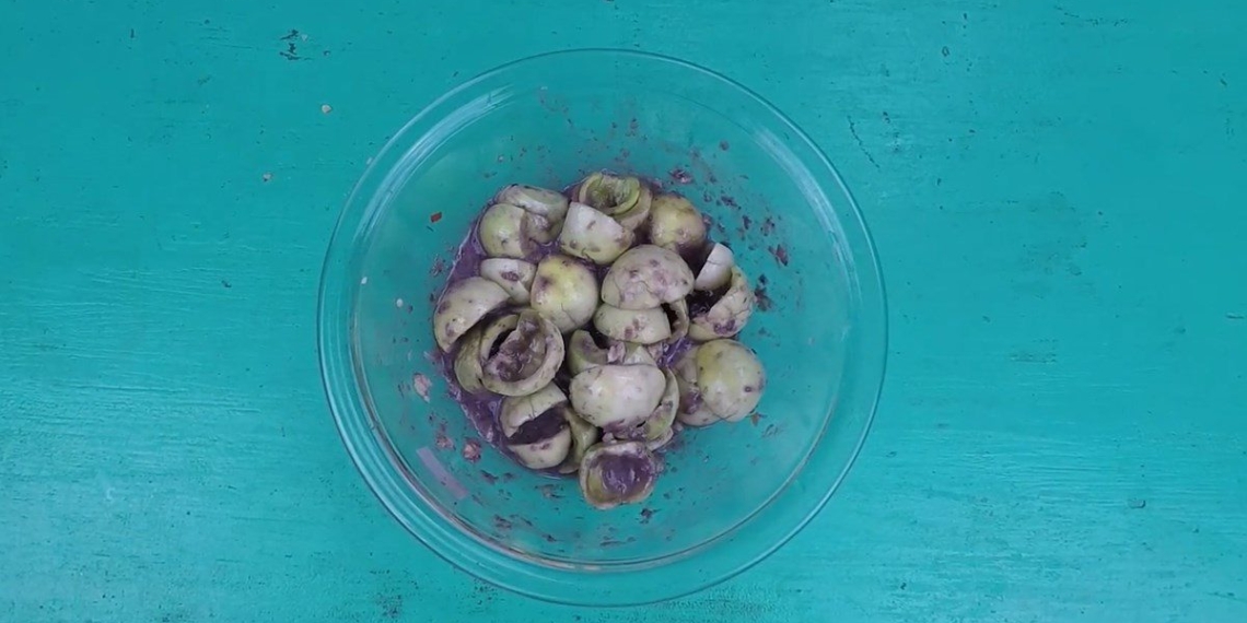 how to make shrimp flavored fish balls delicious for a rice meal 15227