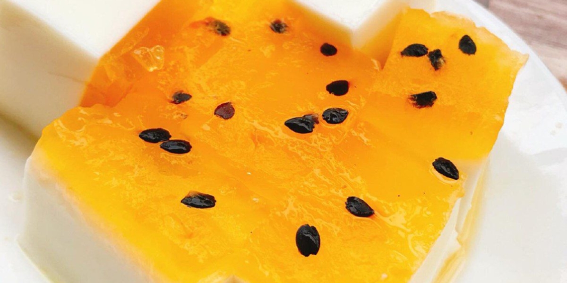 how to make yogurt panna cotta with lemon flavor delicious and attractive 12725